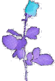 wpe7.jpg (5784 bytes)